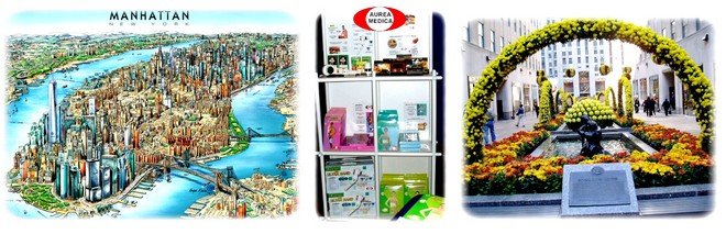 obsah03-NY-expo2.jpg