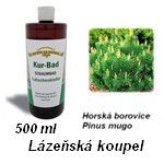 ikona-Latschenkiefer-2024.jpg