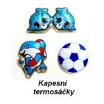 ikona-kapesni-2024.jpg