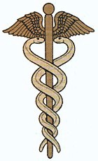 obsah02-vanoce-aeskulap.jpg