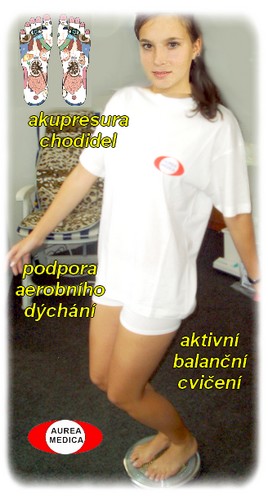obsah19-disk-pavla-statue.jpg
