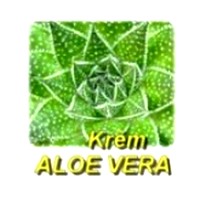 obsah05-aloe-vera.jpg