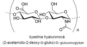 obsah09-kys-hyaluron.jpg
