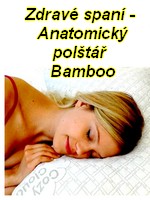 ikona19a-bamboo-kissen.jpg