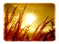 ikona02-sun.jpg