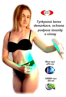 obsah-julija-tyrkys-belly.jpg