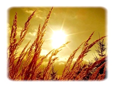 obsah20-sun-rozmaz.jpg