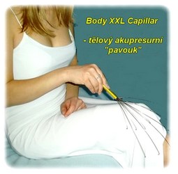 obsah07-capillar-mak-knee.jpg