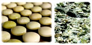 obsah11-nefrit-in-nature-jade.jpg