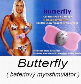 05motylek-obrazek.jpg
