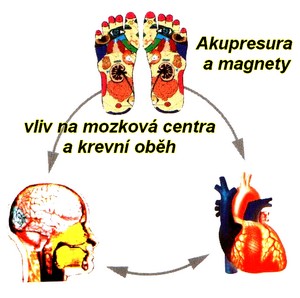 obsah-02-akupres-to-brain.jpg