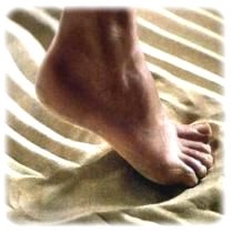 obsah-04-sole-in-sand