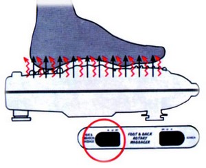 obsah-36familly-schema.jpg