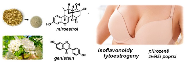 obsah-23-isoflavonoidy.jpg