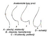 obsah00-typy-prsu.jpg