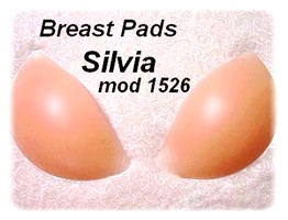obsah01-silvia1526.jpg