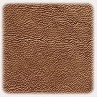 obsah09-leather.jpg
