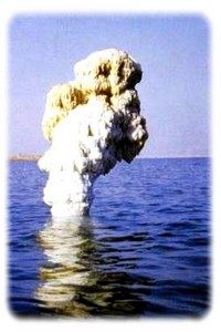 obsah-03-exofyt-tms.jpg