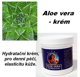 obsah-05aloe-vera.jpg