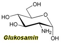 obsah-113-Glukosamin-vzorec.jpg