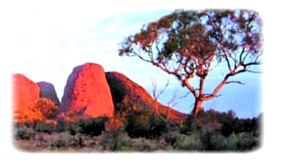 obsah-tto-australian-hills.jpg