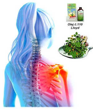obsah04-shoulder-Olej-Lloyd.jpg
