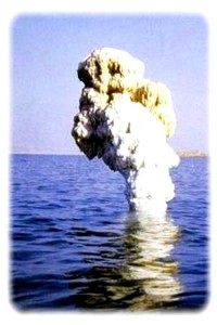 obsah-03-exofyt-tms.jpg