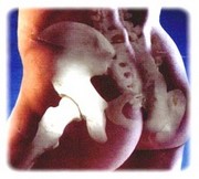obsah09-hip-joint.jpg