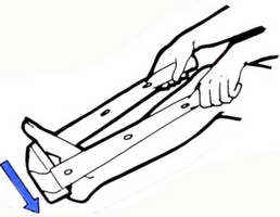 obsah-36pasby-sole.jpg