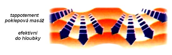 obsah-01-Yama-tapotement.jpg