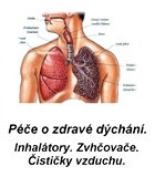 ikona13-dychani.jpg